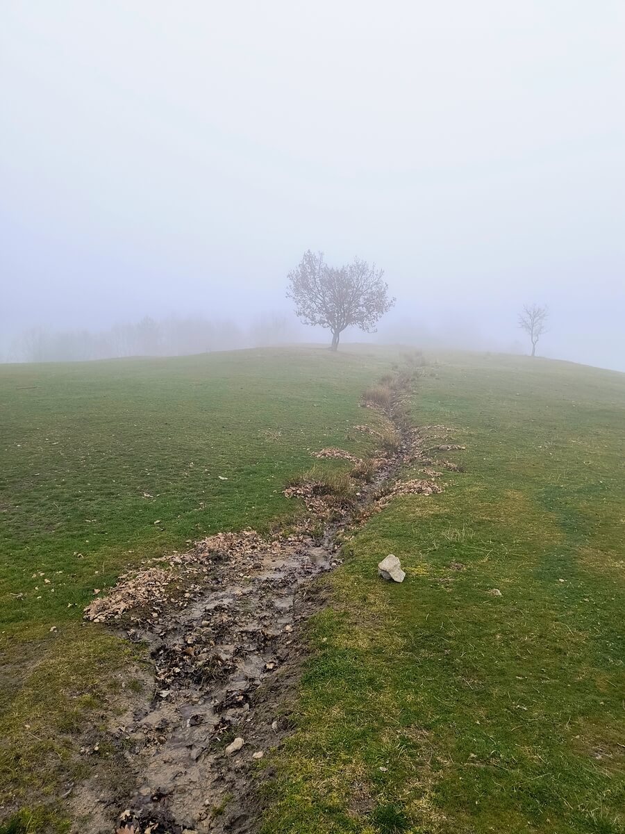 Село Влахи махала полена