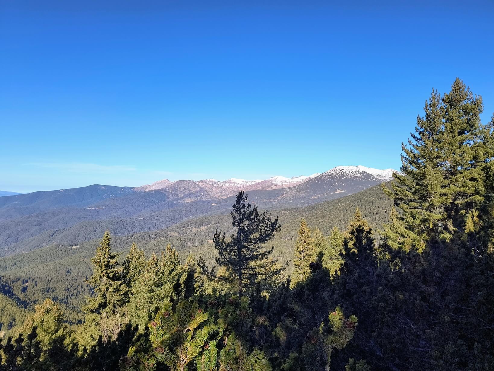 Гледка към Синаница