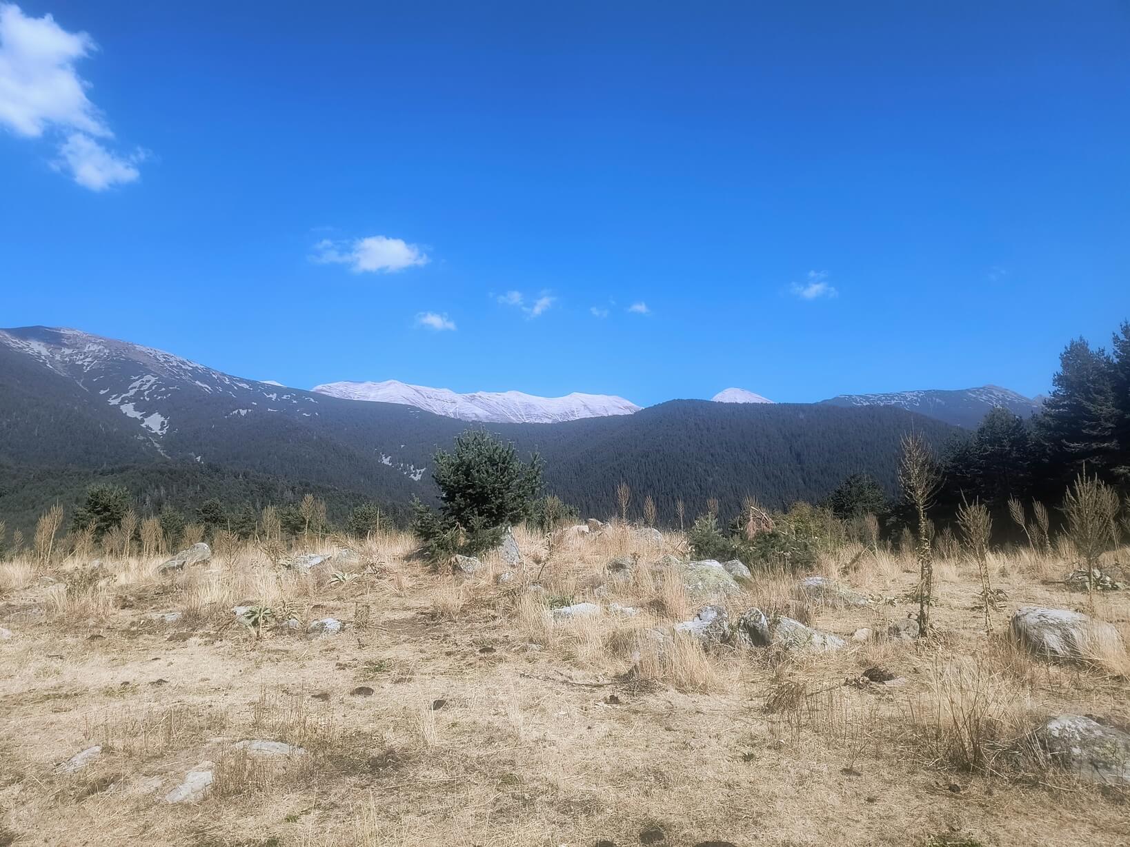 гледки към Пирин от Нивча