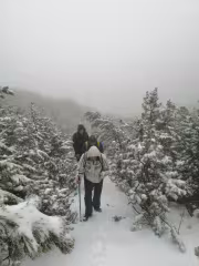 Нагоре в снега и клека