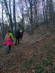 Пътеката в гората от Руенският манастир до хижа Яна