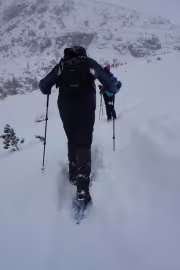 Ходене със снегоходки