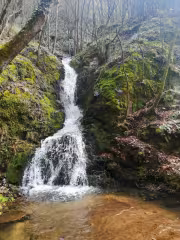 Водопад Дъбицата