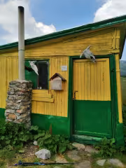 Заслон кобилино бранище