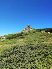 Зъбчето гледано от долу