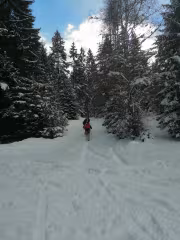 Пътеката към хижа Мечит