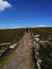 Пътеки от камък