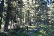 Пътеката изкачваща към Къркъмските Езера