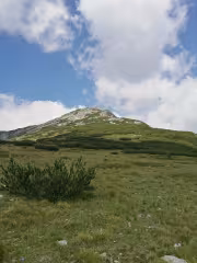 Тодорка гледана от Овча Полена