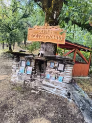 храм света троица