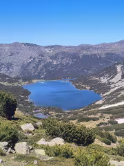 смрадливото езеро