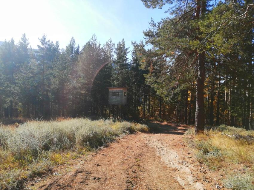 Ловната Вишка Ловната Вишка