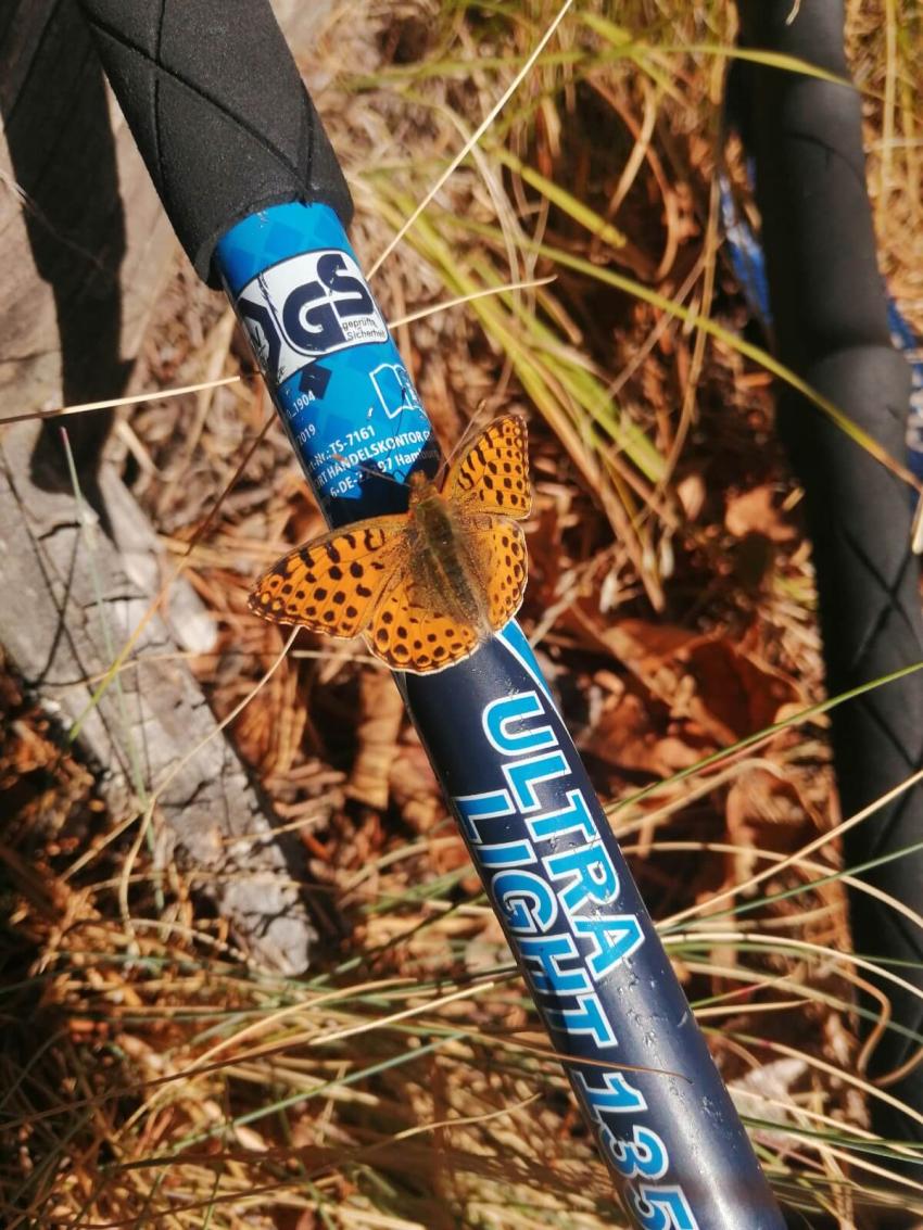 Красива Пперуда Красива Пперуда