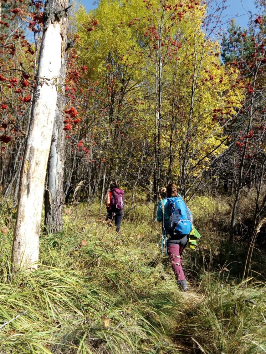 Нагоре по пътеката Нагоре по пътеката