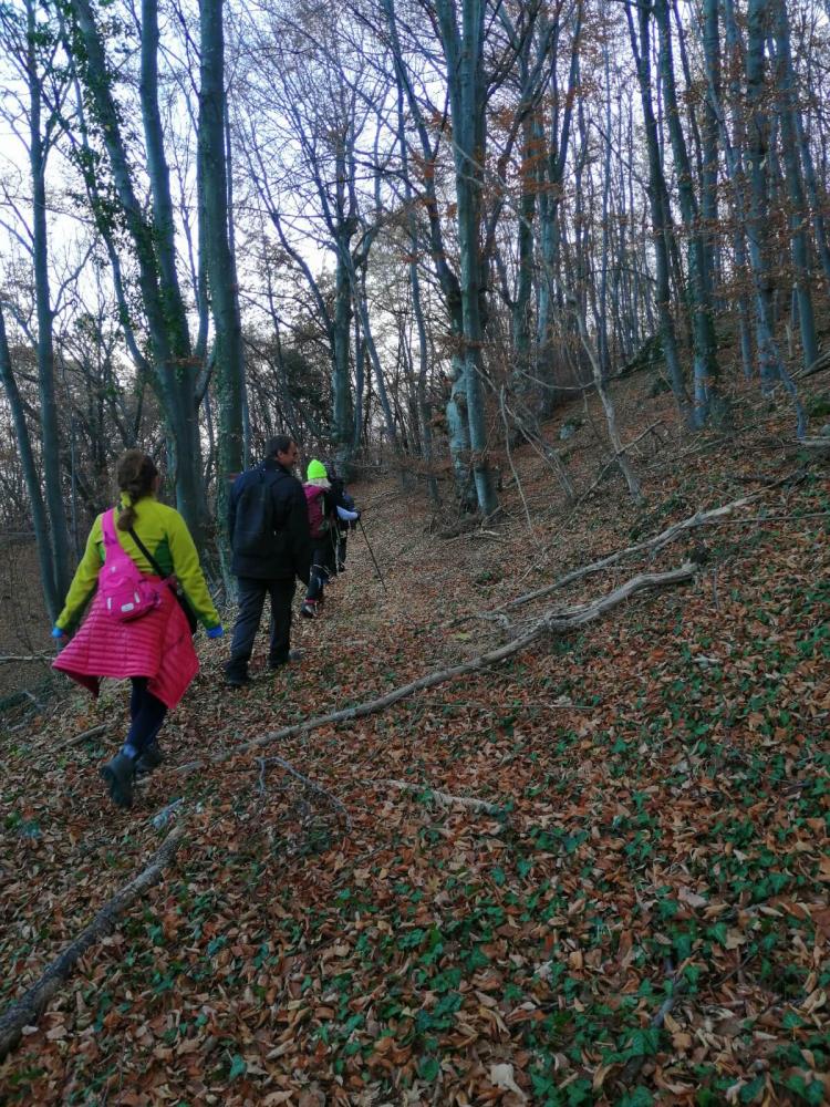 Пътеката в гората от Руенският манастир до хижа Яна