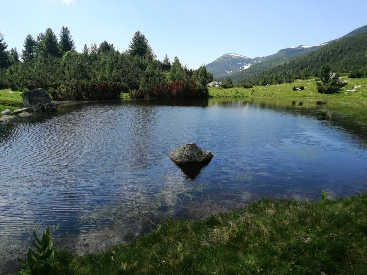 Сухият Гьол - Долно Брезнишко Езеро