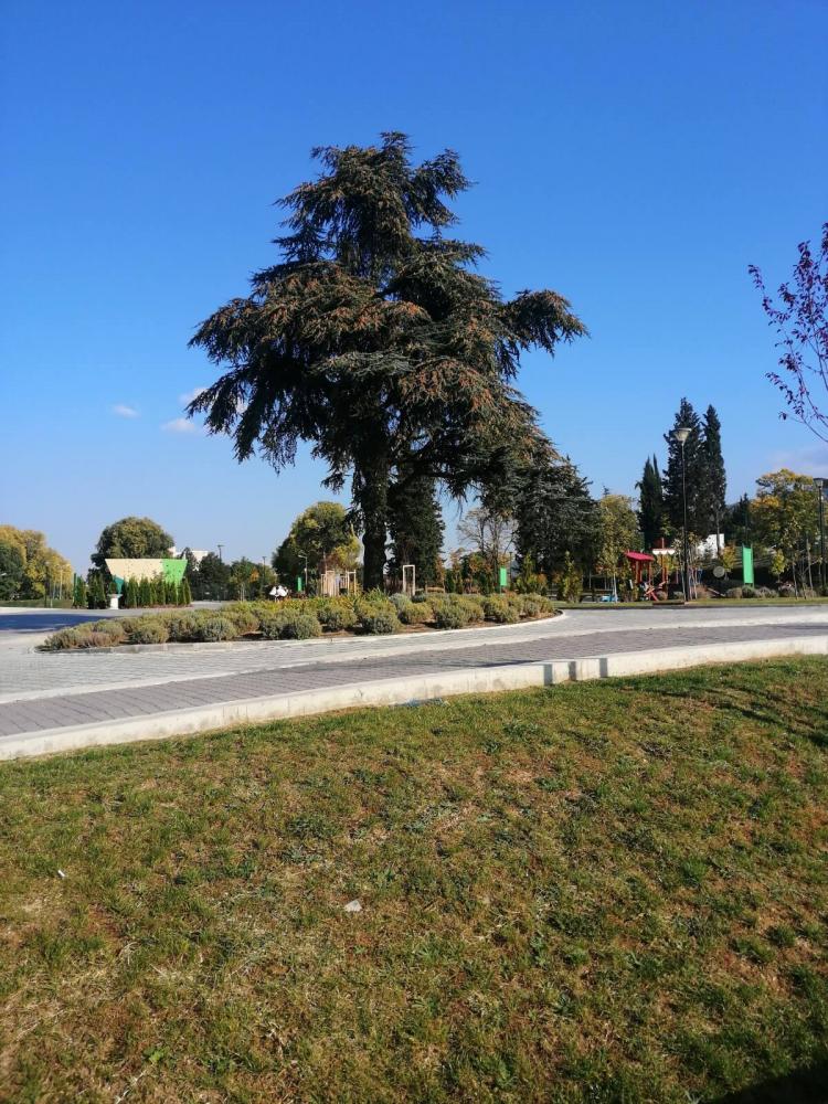 Паркът в Петрич
