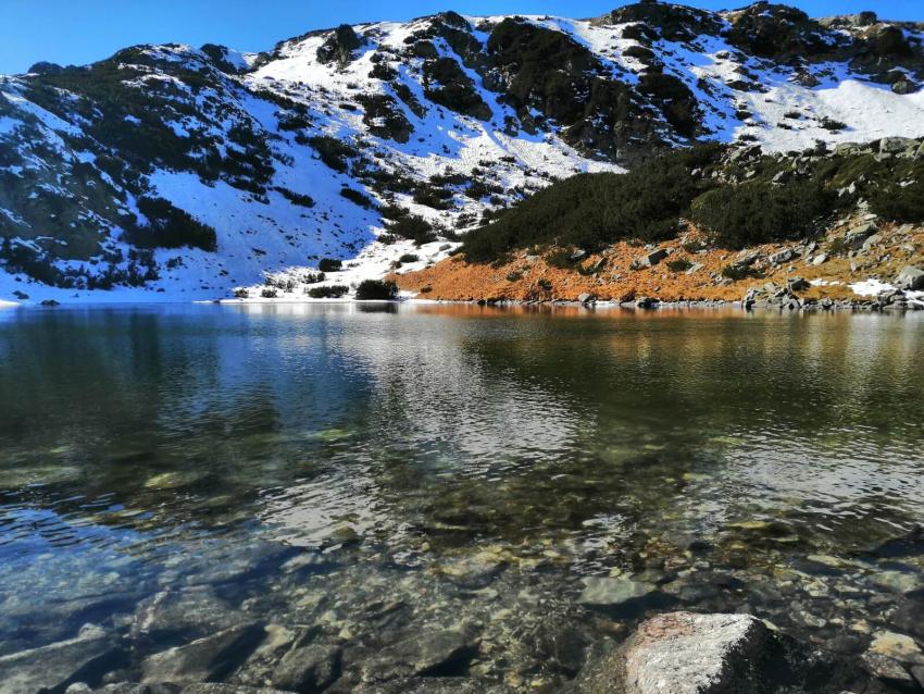 Синьото езеро Синьото езеро