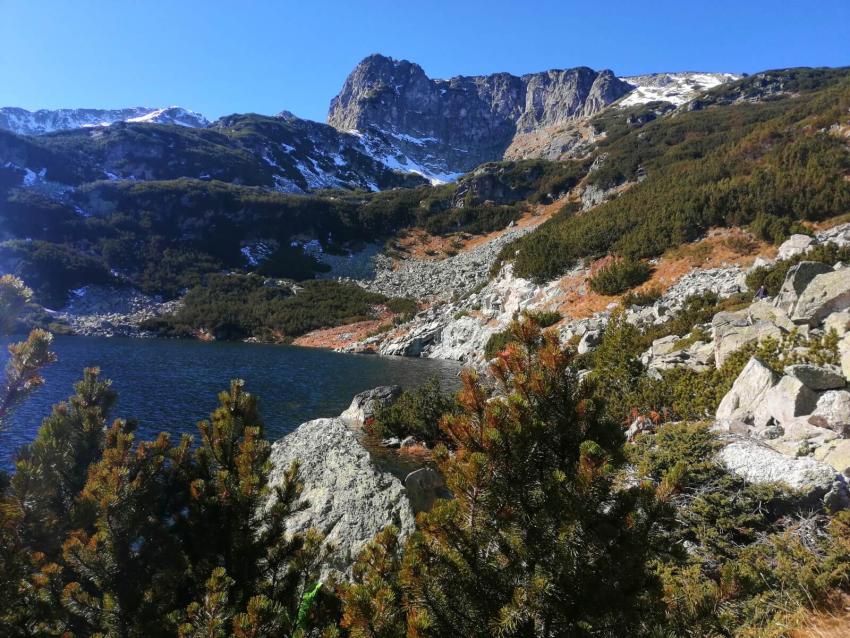 Гледка от рибното езеро Гледка от рибното езеро
