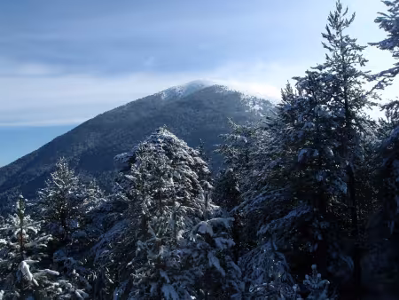 Есенно Снежно до Гоцев Връх в Славянка /Алиботуш/