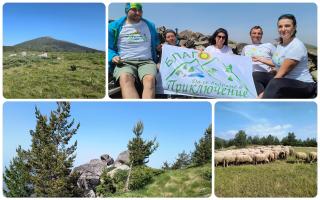 Markov Kamak, Tsarev Peak, and Along the Ridge Toward Blagoevgrad