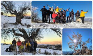 A Walk to Mount Klikach and the Oldest Pear Tree in Bulgaria