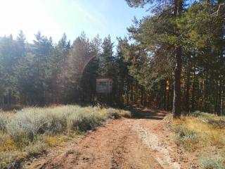 Ловната Вишка