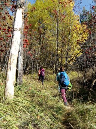 Нагоре по пътеката