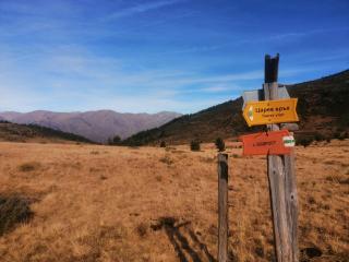 На Добро Поле