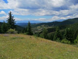 село Черешово