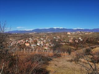 село Виногради
