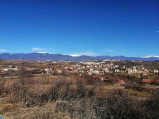 Село Лозеница