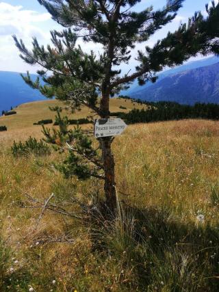 Към Рилският Манастир