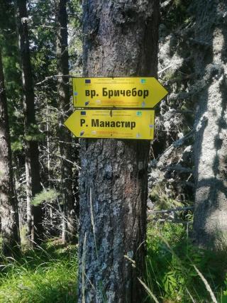 Табела Бричебор