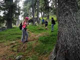 В гората по пътеката в страни от ски пистата В гората по пътеката в страни от ски пистата