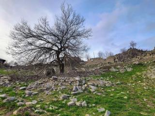 в село влахи в село влахи