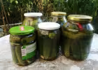 Sun-Fermented Pickles